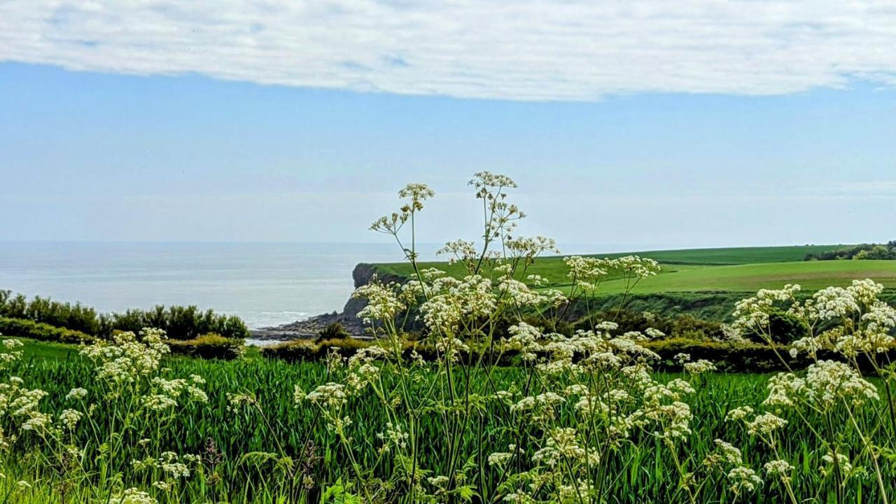 Отель Cober Hill Скарборо Экстерьер фото